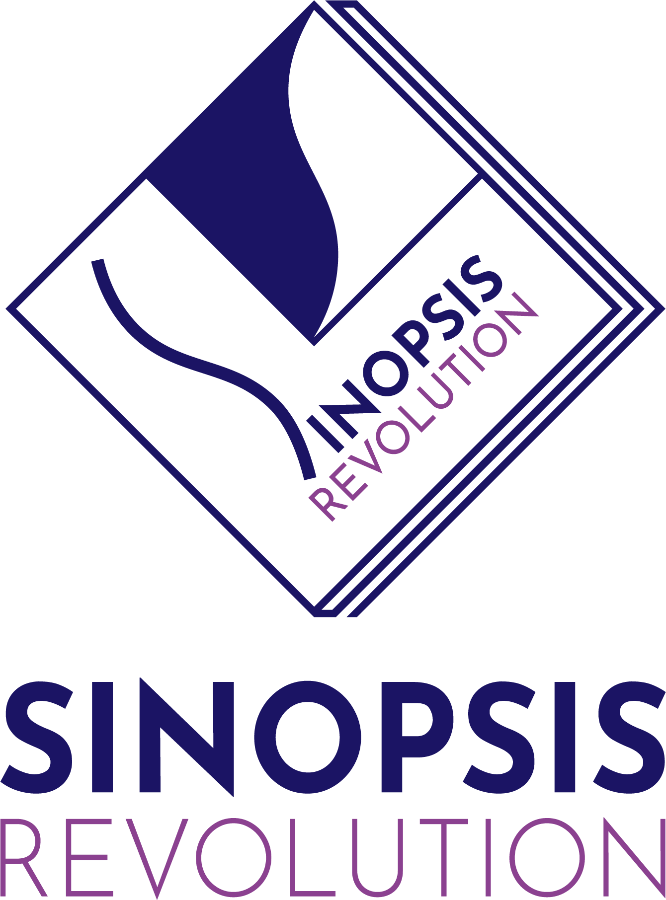 Sinopsis Revolution
